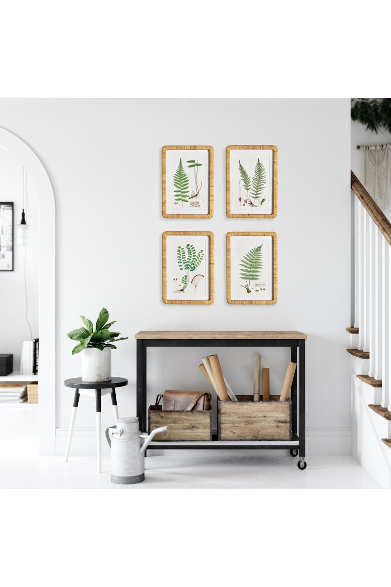 Forest Fern Prints Set of 4, Alternate, color, Green