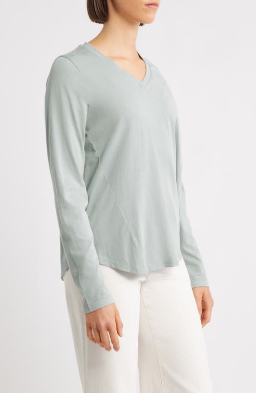 City Blues Beth Long Sleeve T-shirt In Gray