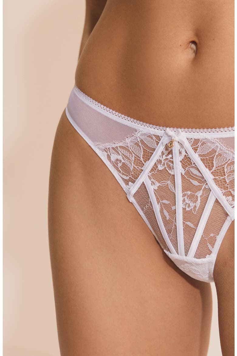 Mascarade Culotte Tulle & Lace Panties, Alternate, color, WHITE