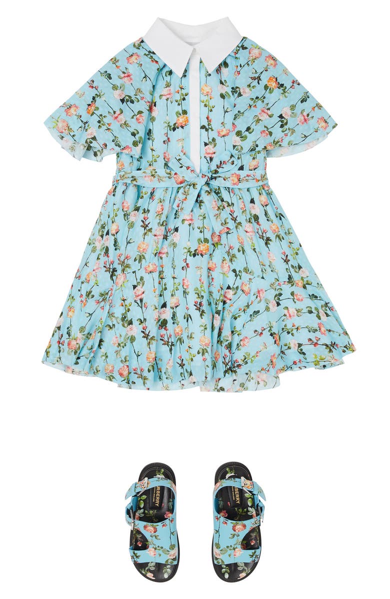 Burberry Kids' Mini Valerie Floral Print Cape Sleeve Dress, Alternate, color,