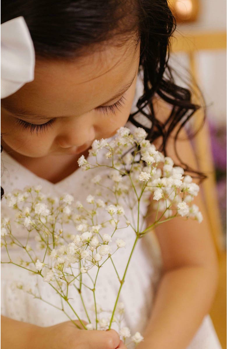 Hope & Henry Girls' Organic Eyelet Bow Shoulder Dress, Toddler, Alternate, color, White Eyelet