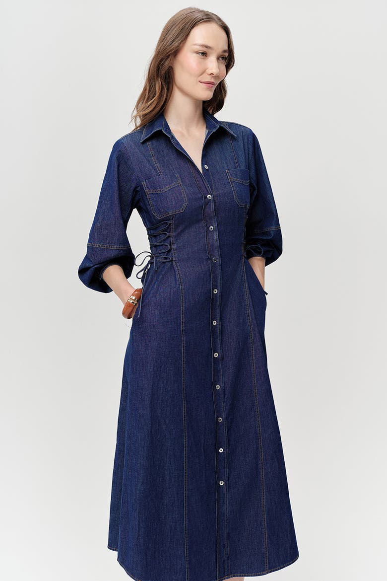 Arnaude Side Tie Long Sleeve Midi Dress, Alternate, color, Blue