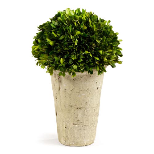 Napa Home & Garden Three Quarter Ball In Tom Pot In Green