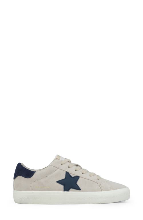 Vintage Havana Brisk Low Top Sneaker In Multi