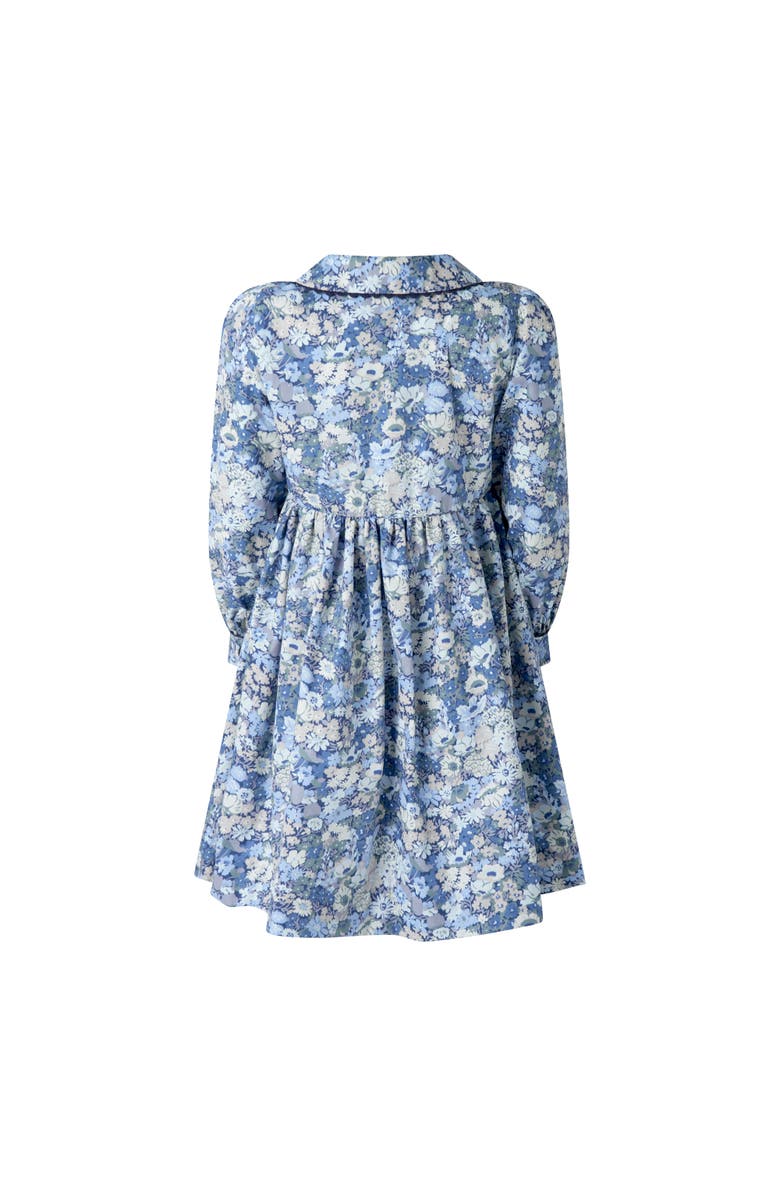 Rachel Riley Blue Floral Button-Front Dress, Alternate, color, Blue