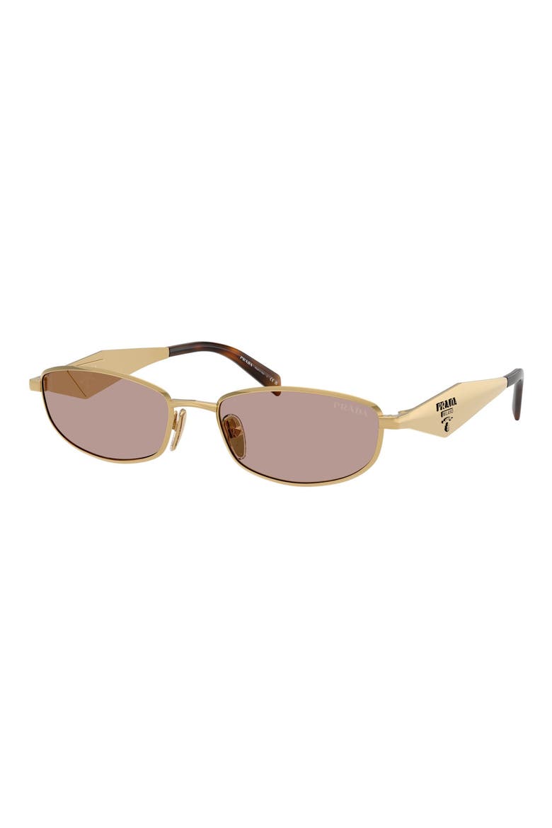 55mm Oval Sunglasses, Alternate, color, GOLD / LIGHT PURPLE BROWN