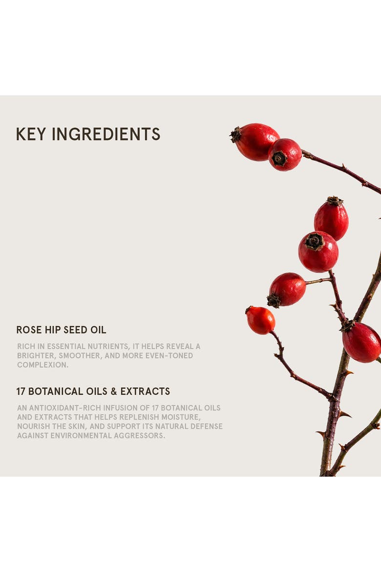 Antioxidant Brightening Botanical Face Oil, Alternate, color, No Color