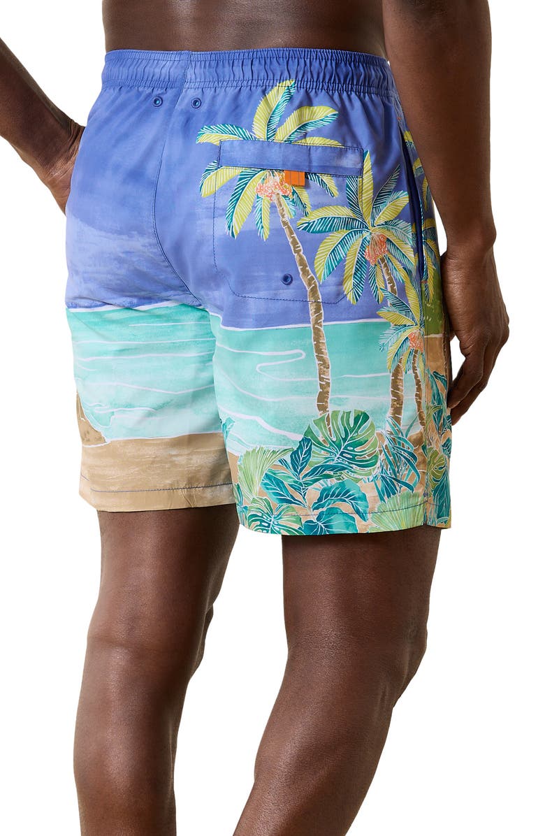 Tommy Bahama Naples Azul Lagoon Swim Trunks, Alternate, color,