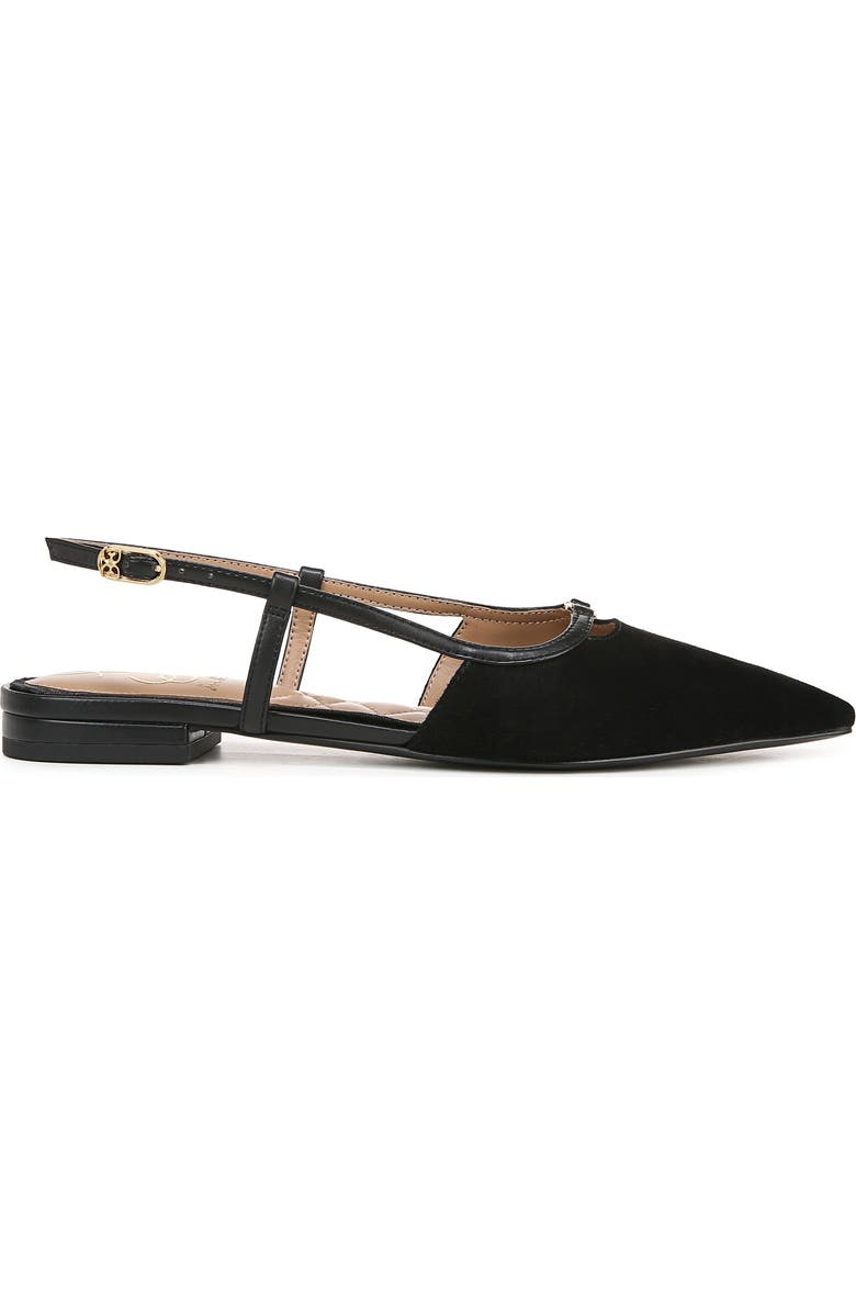 Sam Edelman Cohen Pointed Toe Flat, Alternate, color,