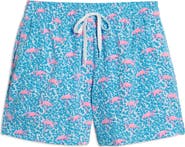 Chubbies Classic Lined 5.5-Inch Swim Trunks