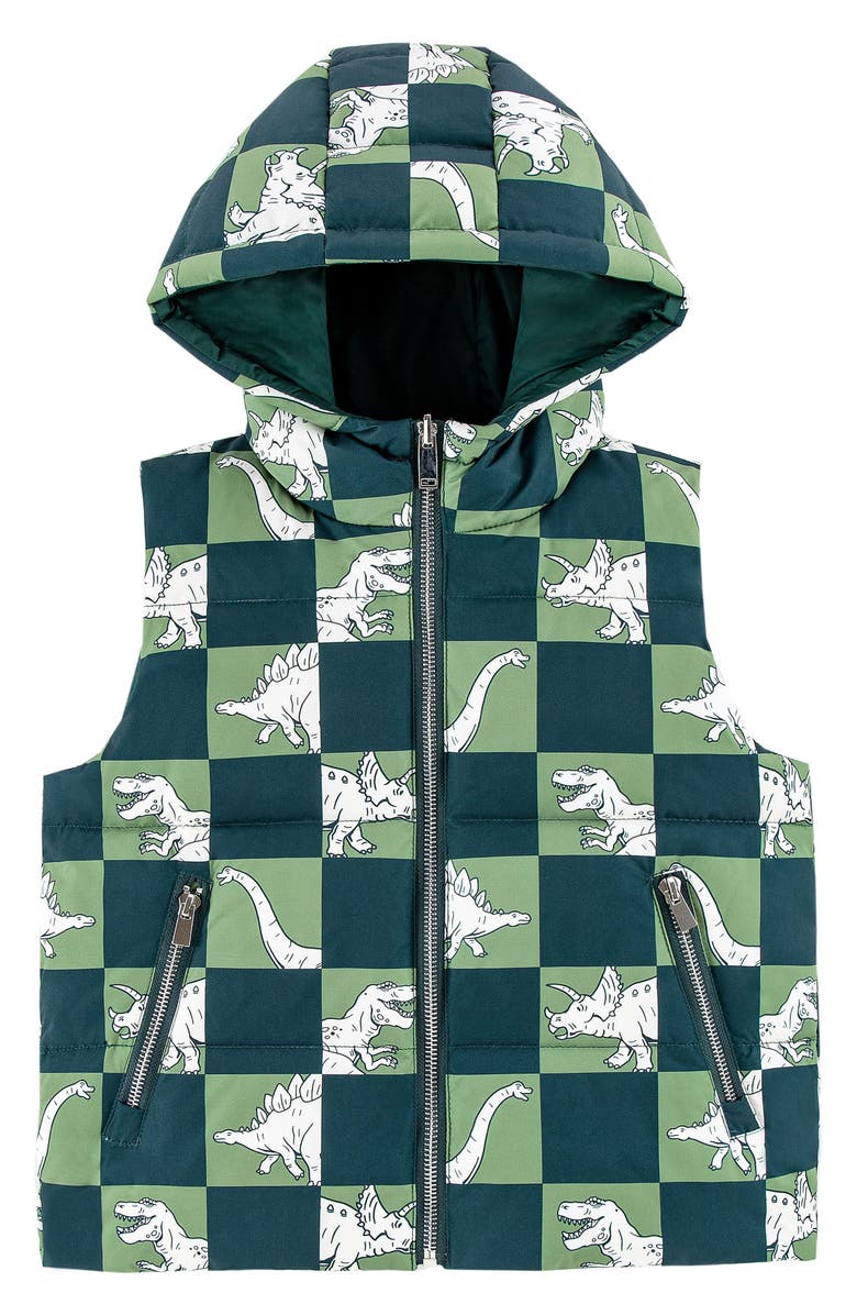 CALONIE Kids' Dylan Reversible Down Hooded Puffer Vest, Main, color, Olive