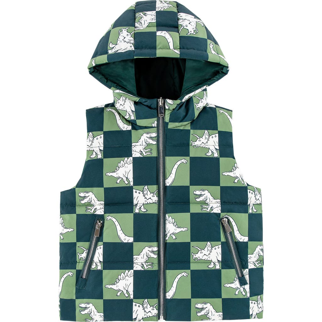 Calonie Kids' Dylan Reversible Down Hooded Puffer Vest In Multi