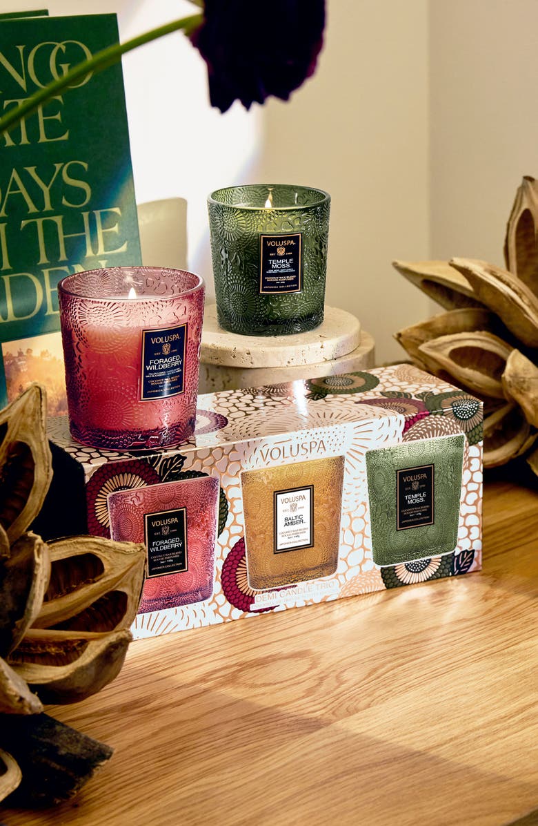 Voluspa Restoration Demi Candle Trio Gift Set, Alternate, color, Multi