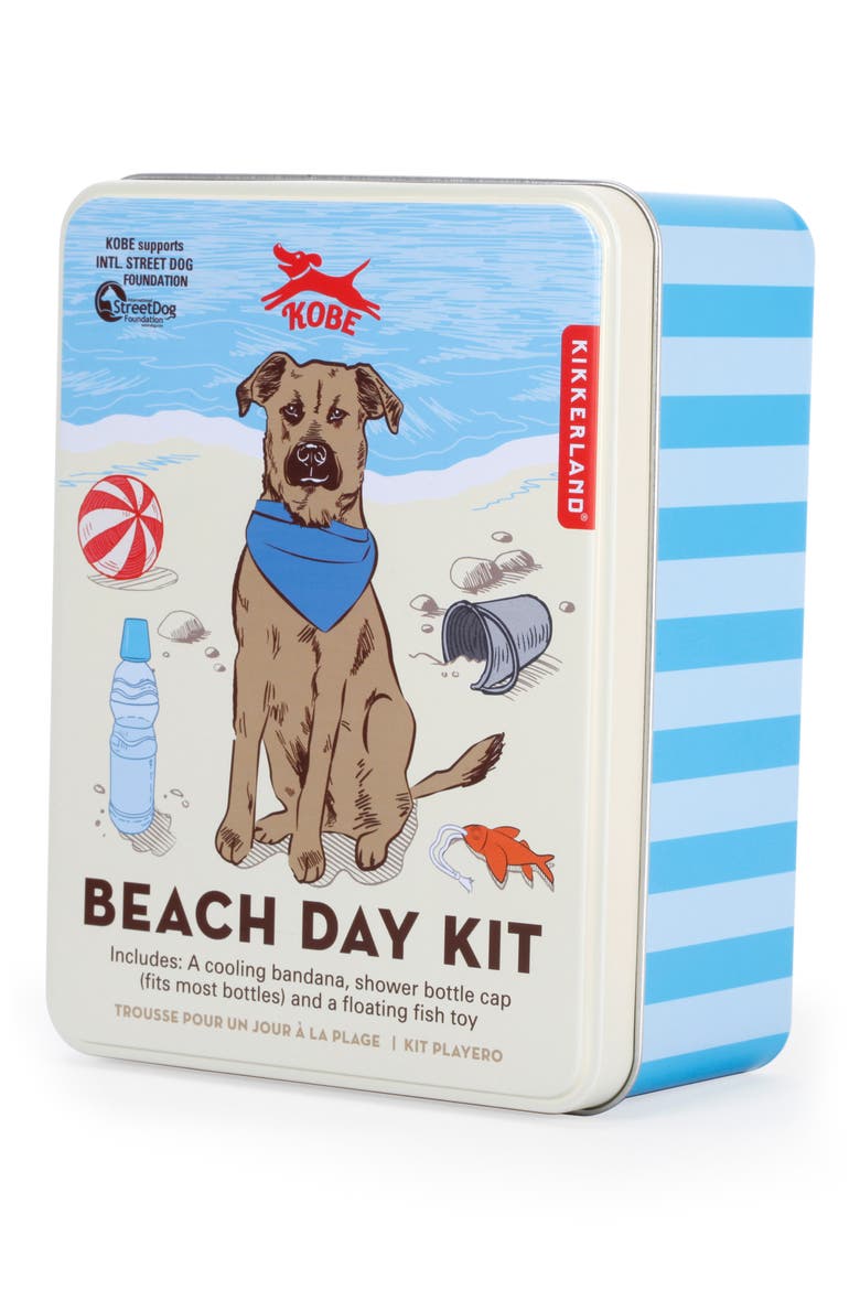 Beach Day Dog Kit, Alternate, color, BLUE MULTI