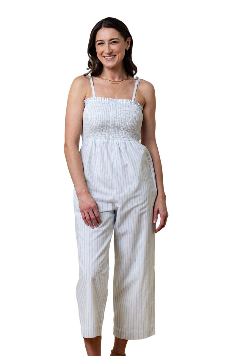 Hope & Henry Women's Organic Smocked Button Front Jumpsuit, Main, color, Classic Blue Ticking Stripe