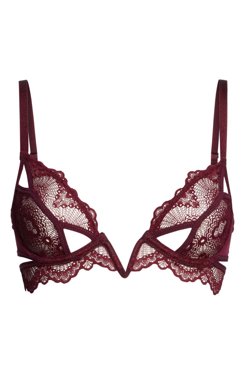 Thistle & Spire Kane Cutout Lace Underwire Bra, Alternate, color, 