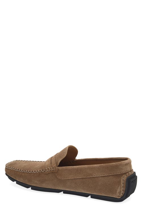 Bruno Magli Pelican Penny Loafer In Brown