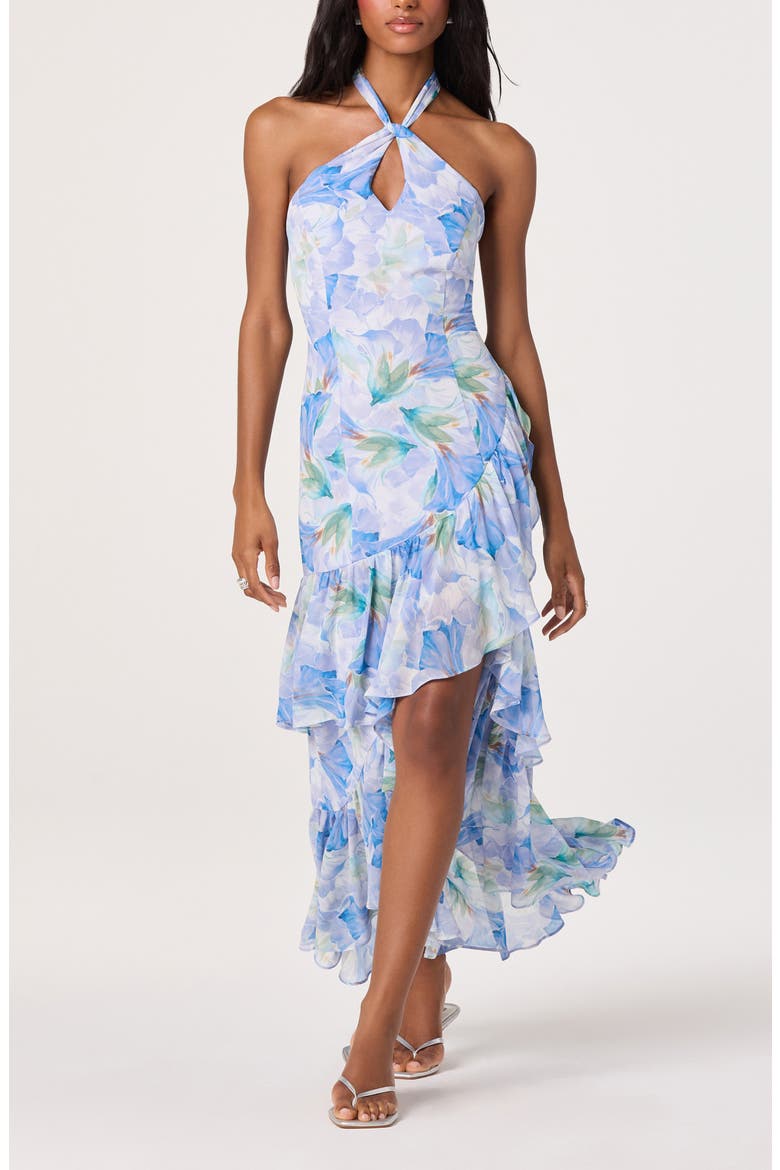 Bethina Floral Halter Neck High-Low Dress, Alternate, color, PURPLE FLORAL