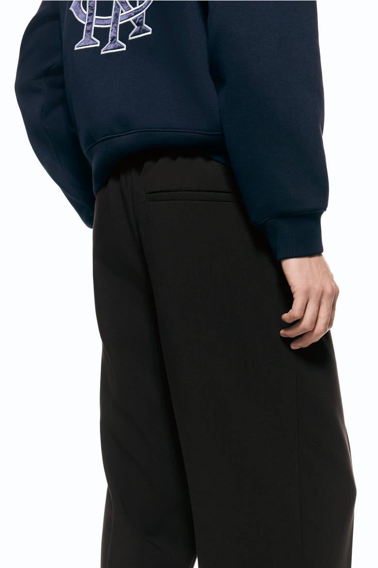 Relaxed Fit Trousers, Alternate, color, Dark brown