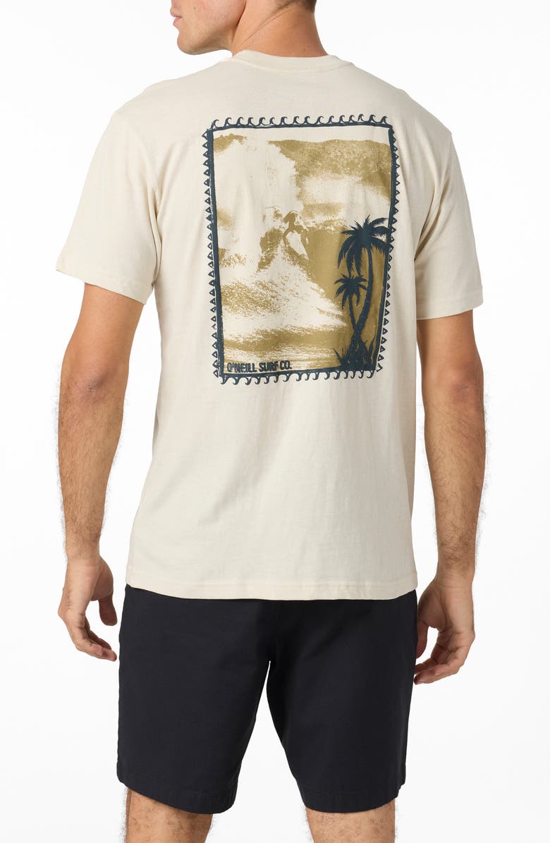 O'Neill Fins Free Graphic T-Shirt, Alternate, color, 