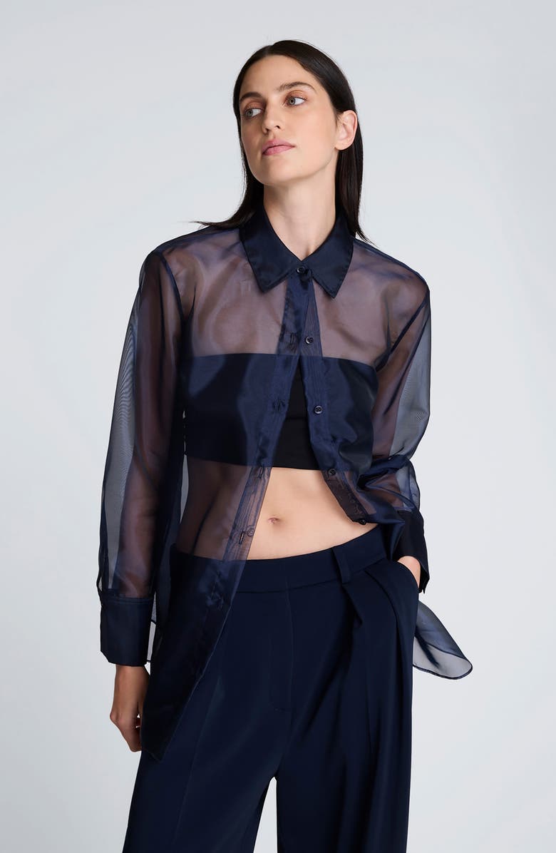 Kenneth Cole Oversize Sheer Organza Button-Up Shirt, Alternate, color,