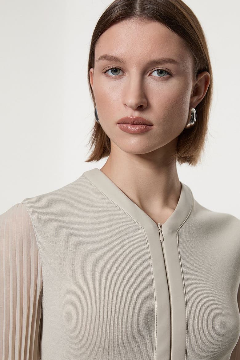 Petite Woven Sleeved Pleated Dress, Alternate, color, Stone