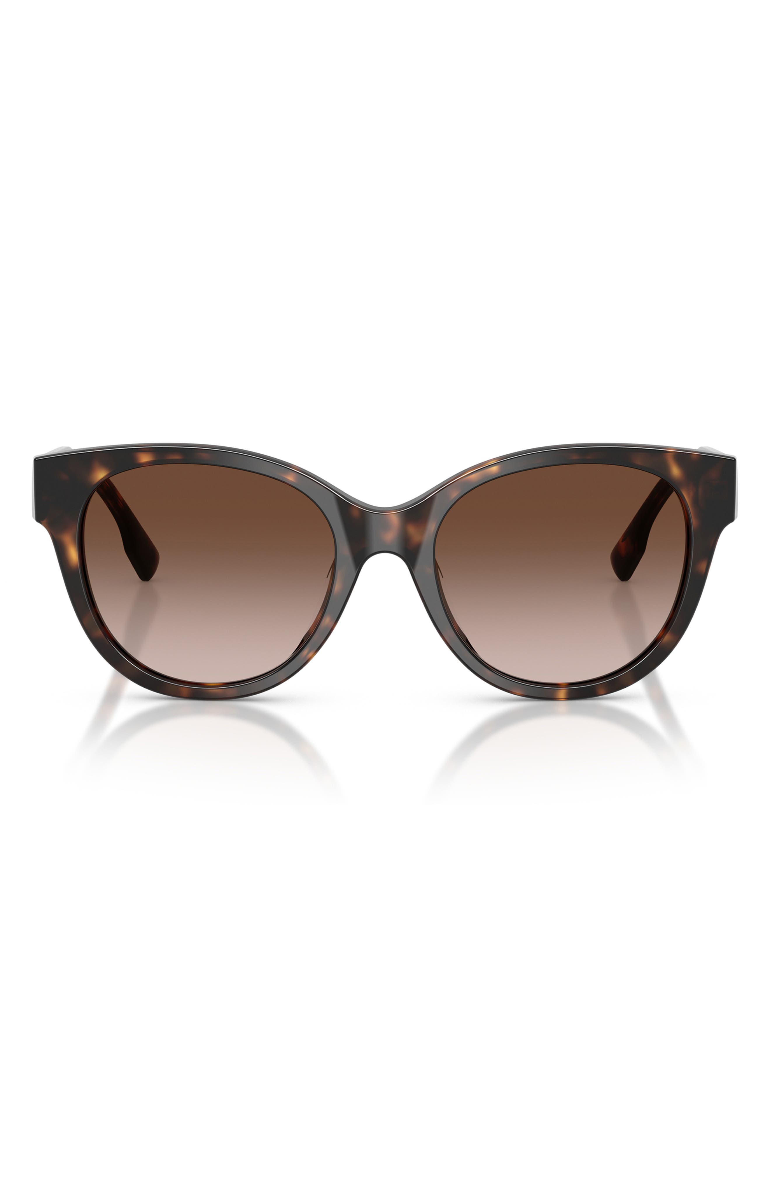 DARK TORTOISE / DARK TORTOISE