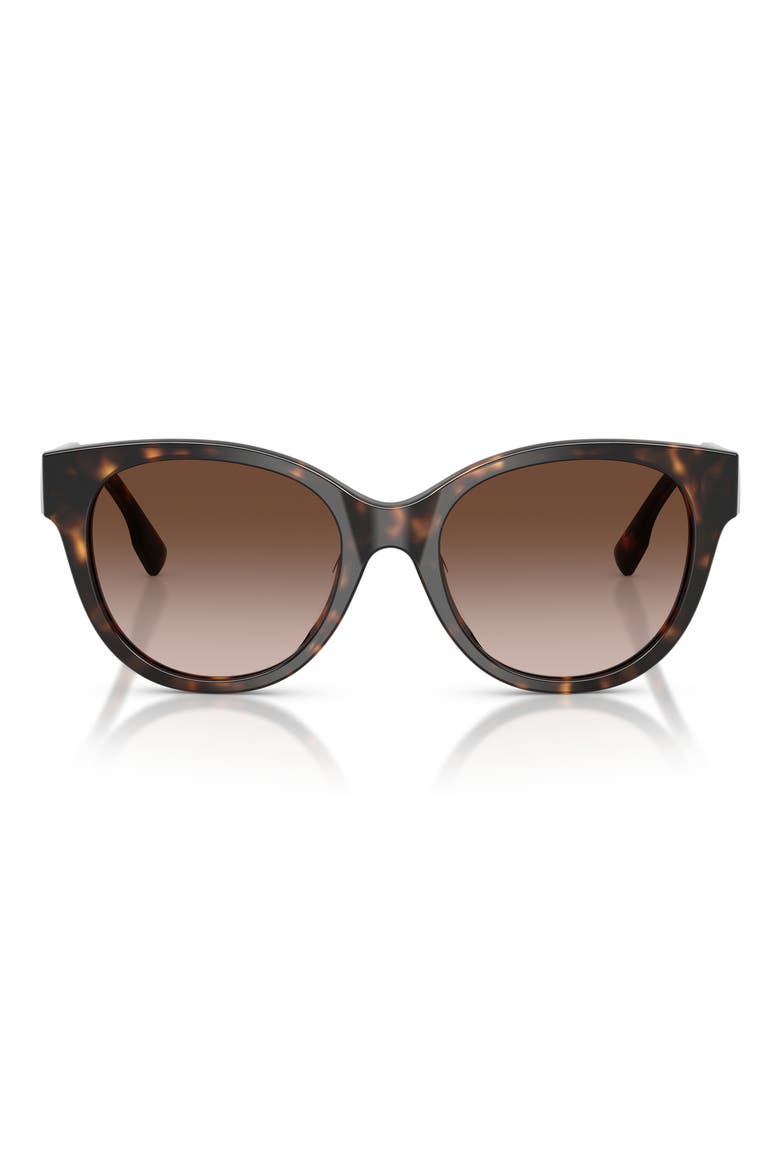 54mm Phantos Sunglasses, Main, color, DARK TORTOISE / DARK TORTOISE