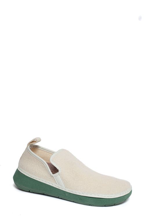 Unity in Diversity Fern Wool Sneaker in Pearl 