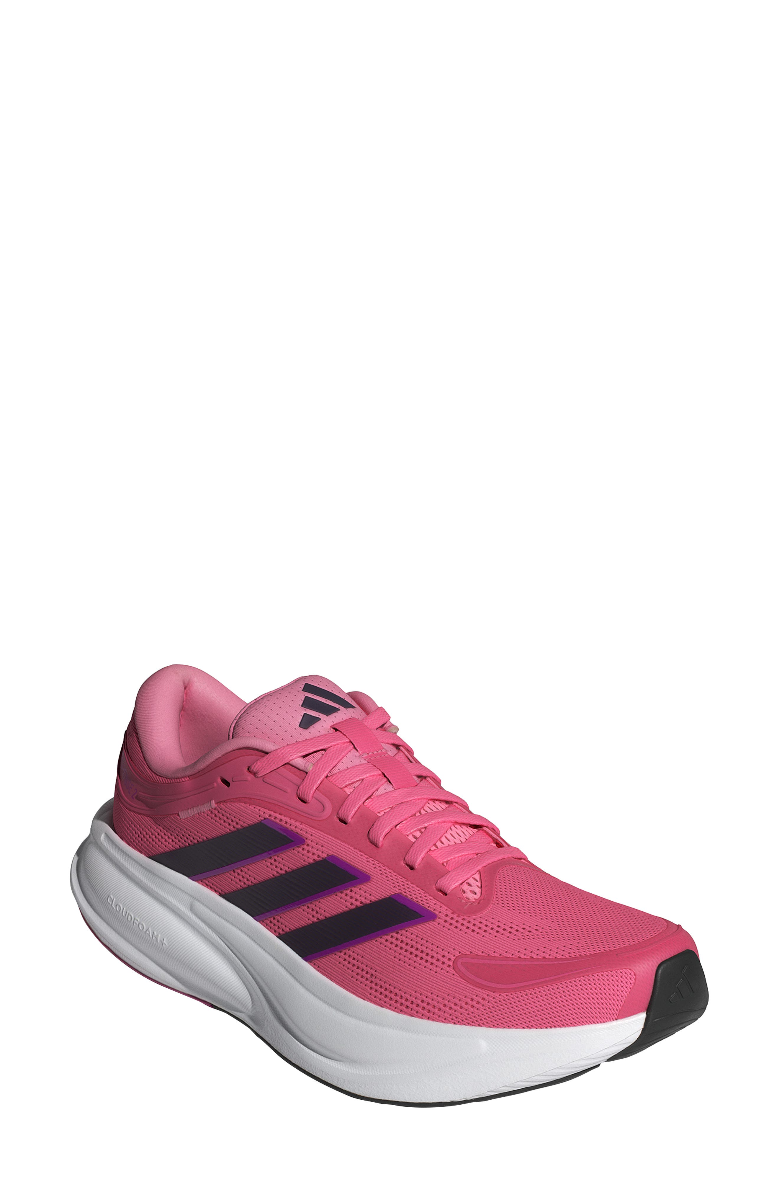  Pink Fusion/ Purple/ Pink