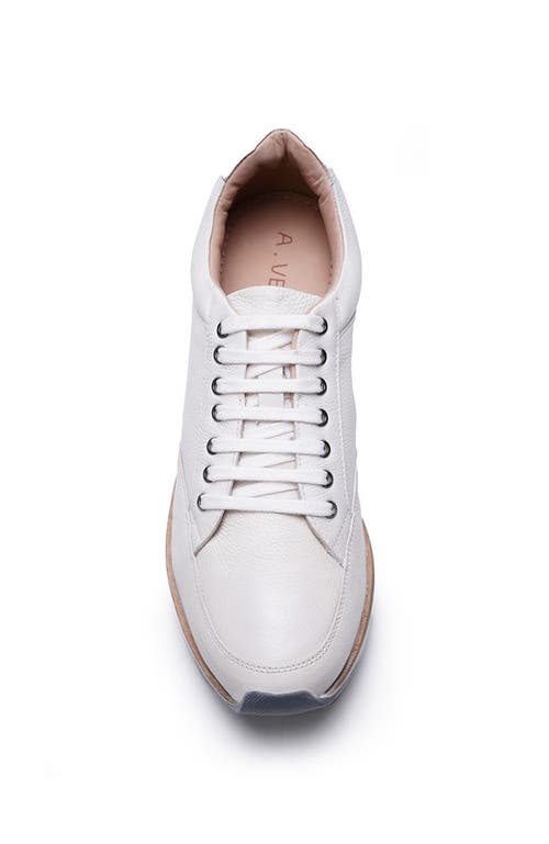 A. Veer Brooklyn Sneaker In White