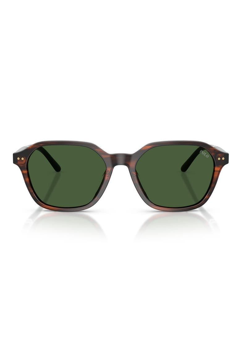 54mm Irregular Sunglasses, Main, color, SHINY STRIPED BROWN / GREEN