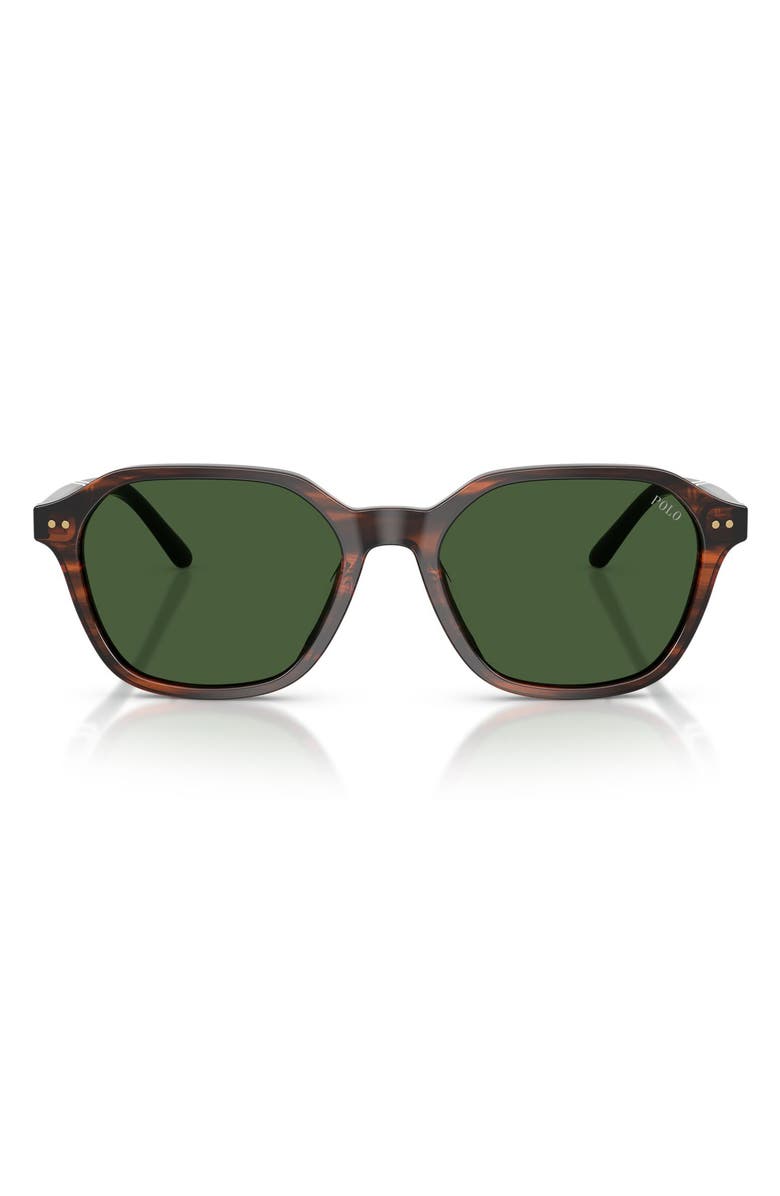 Polo Ralph Lauren 54mm Irregular Sunglasses, Main, color, Shiny Striped Brown / Green