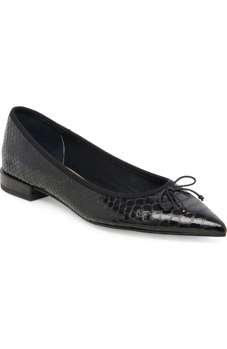 Dolce Vita Palani Pointed Toe Flat, Main, color,