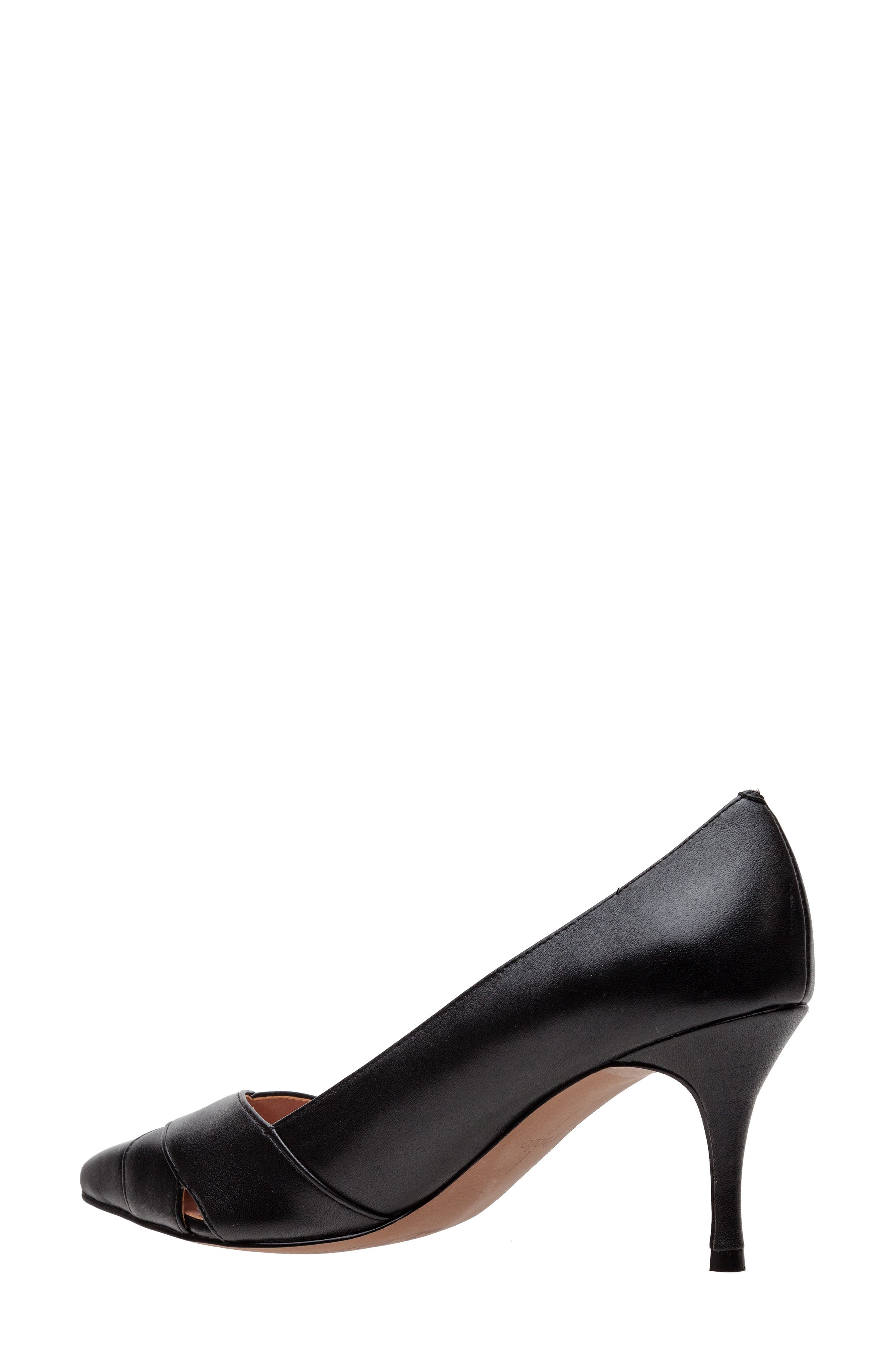 Linea Paolo Palos Pointed Toe Pump, Alternate, color, Black
