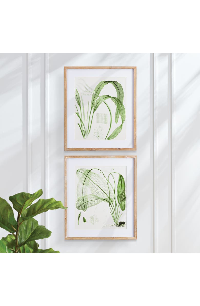 Napa Home & Garden Aquatic Leaf Prints, Set Of 2, Alternate, color, Green