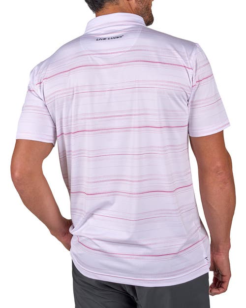 Black Clover Dots Polo In Pink