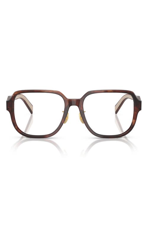 Prada 56mm Pillow Optical Glasses In Caramel