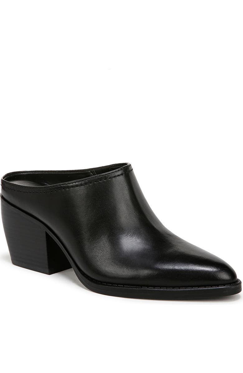 Naturalizer Fairmont Pointed Toe Mule, Main, color,