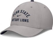 Nike Men's Nike Gray Penn State Nittany Lions Rise Prep Performance Flex Hat