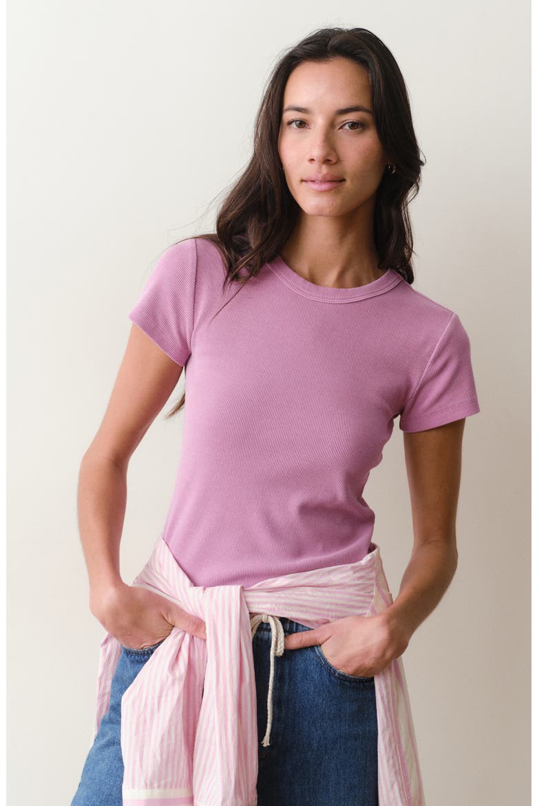 Lexi Rib Sun-In Crewneck T-Shirt, Alternate, color, FADED MAUVE