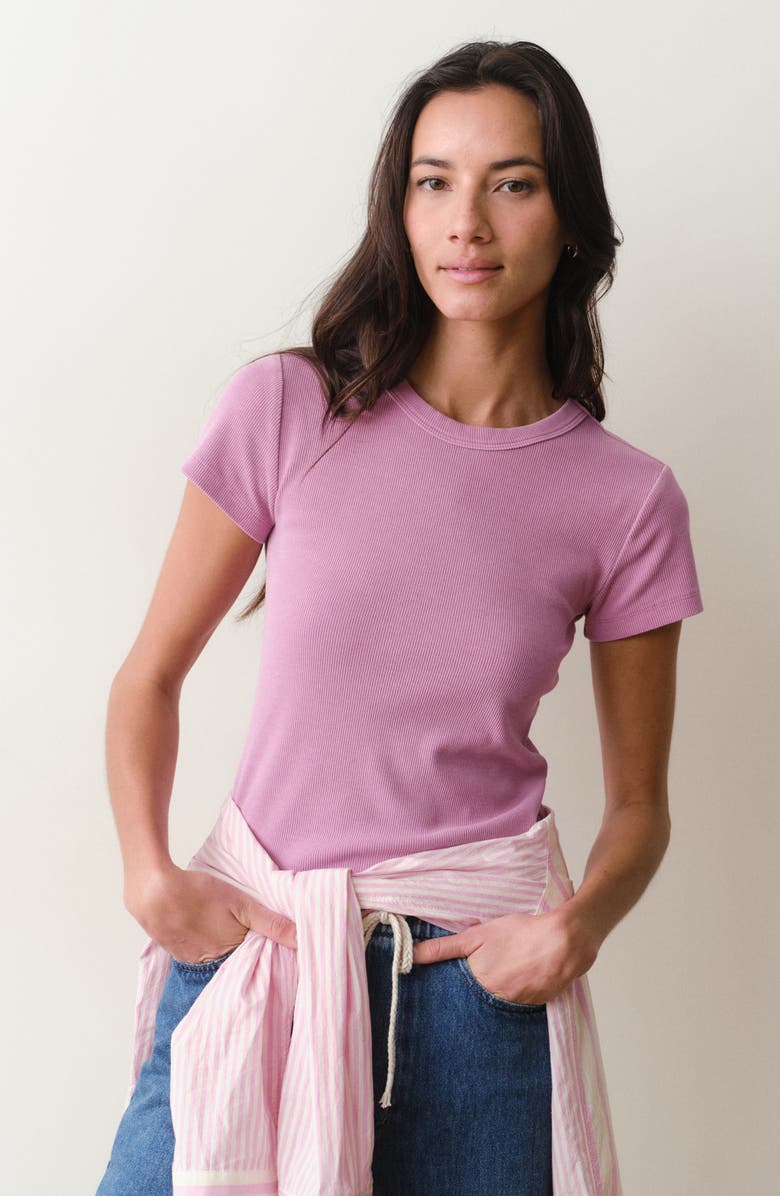 Marine Layer Lexi Rib Sun-In Crewneck T-Shirt, Alternate, color, Faded Mauve