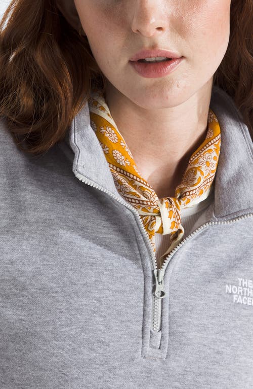 The North Face Evolution Quarter Zip Pullover In Gray