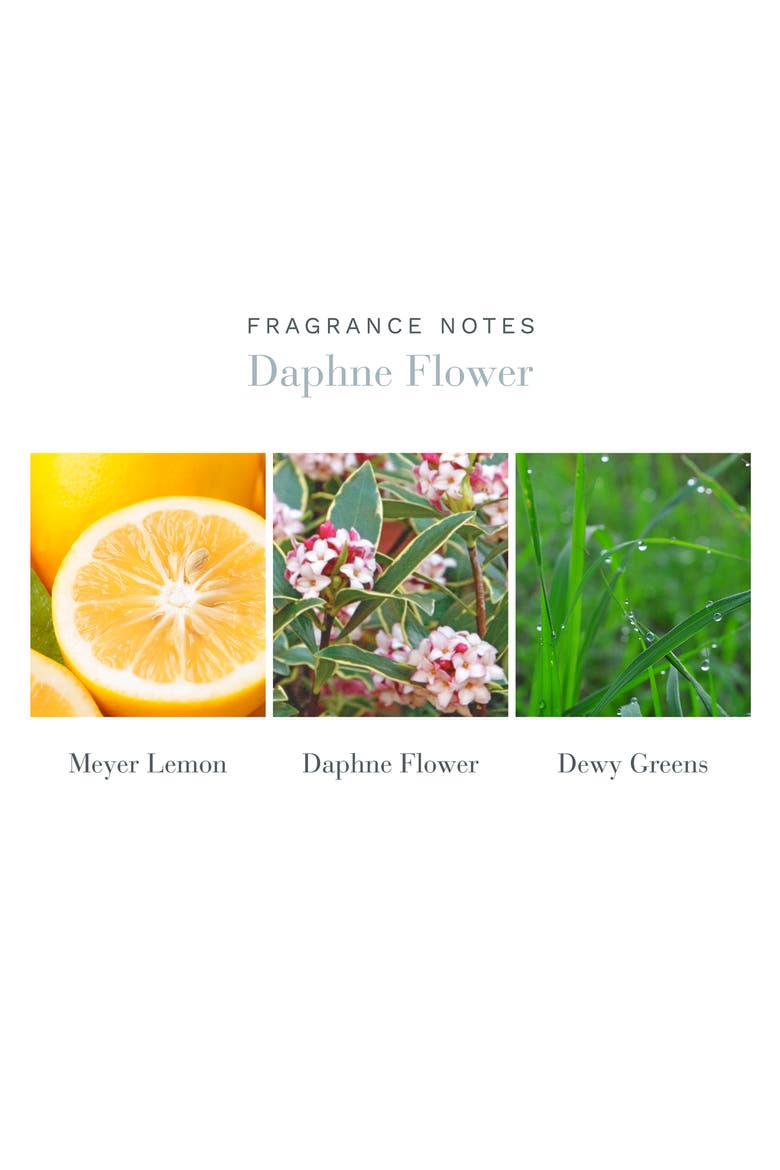 Daphne Flower Home Ambiance Perfume, Alternate, color, NO COLOR