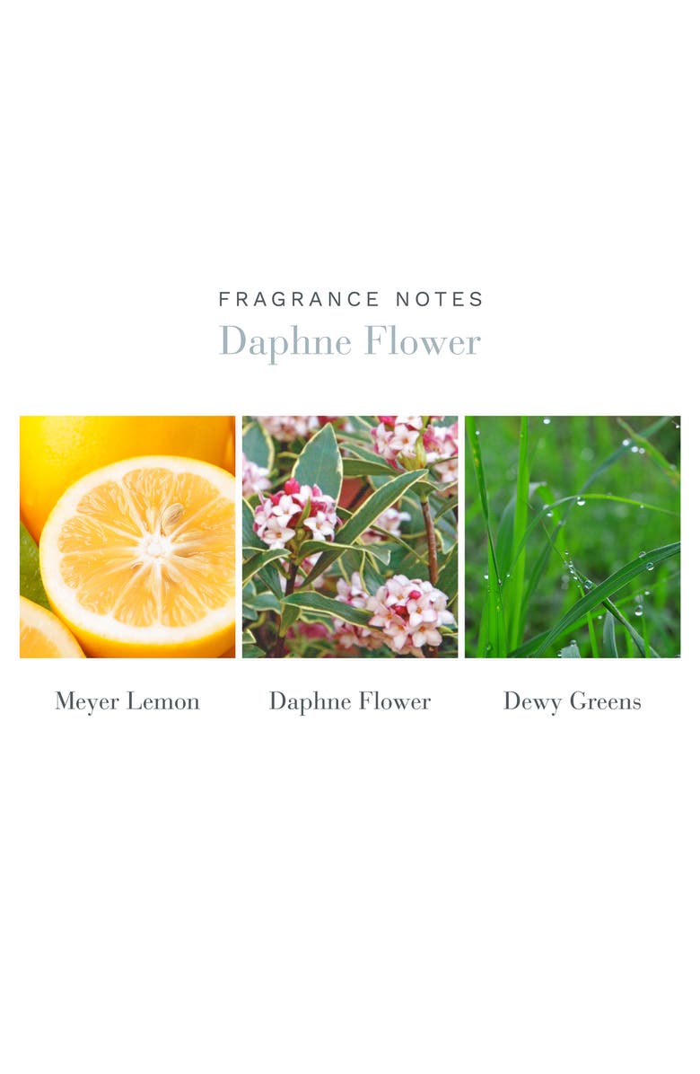 Antica Farmacista Daphne Flower Home Ambiance Perfume, Alternate, color, 