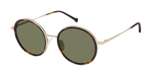 Colors In Optics Callie Sunglasses In Multi