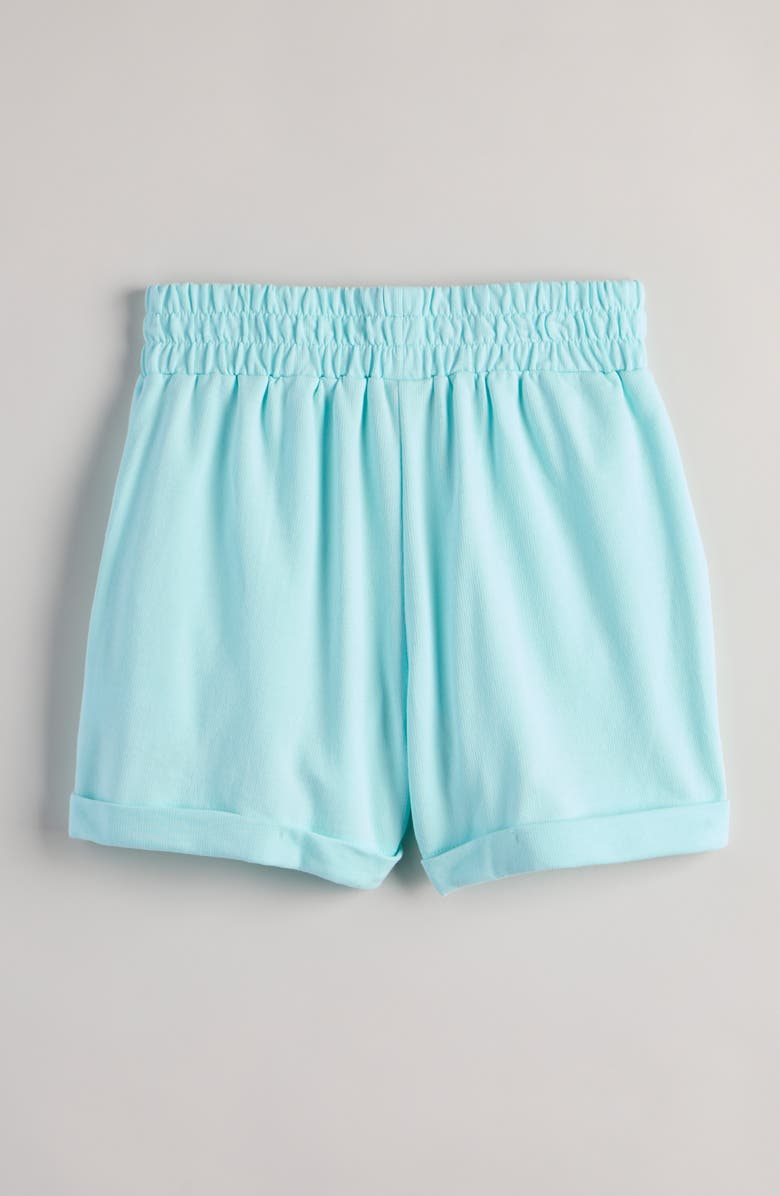 Treasure & Bond Kids' Terry Cloth Shorts, Alternate, color, Blue Clearwater