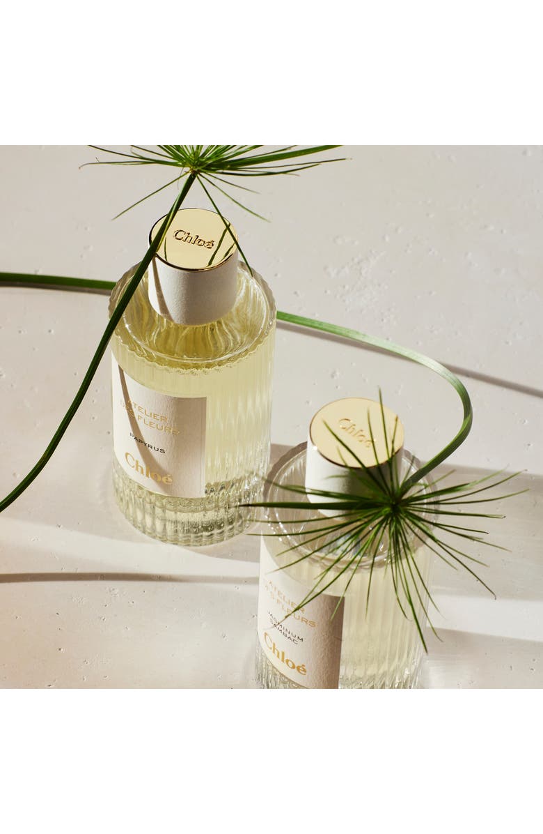 Chloé Atelier des Fleurs Papyrus Eau de Parfum, Alternate, color, 