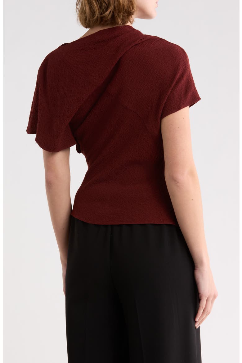 Dena Asymmetric Short Sleeve Top, Alternate, color, BLACK CHERRY