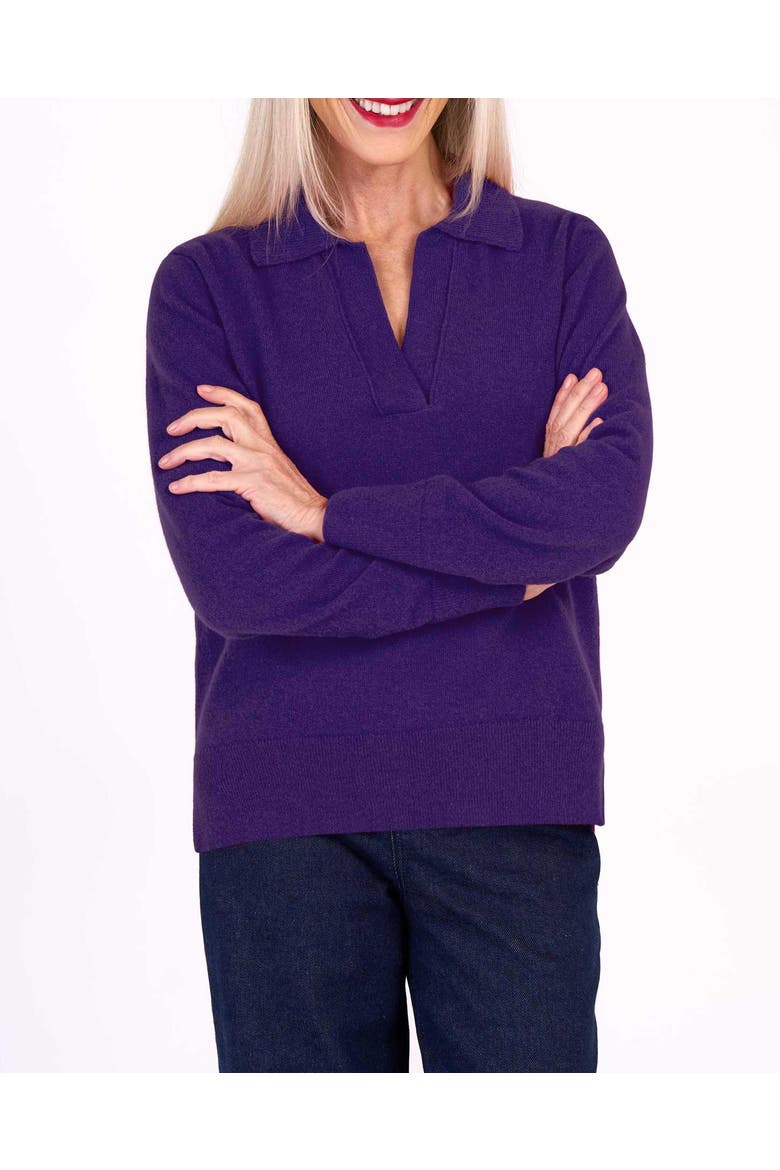 Long Sleeve Collared V-Neck Sweater, Alternate, color, Deep Nightshade